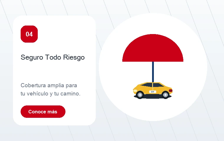 Seguro todo riesgo para vehículos